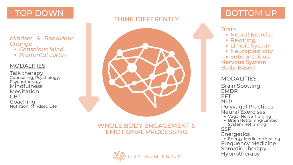 Top-down and bottom-up nervous system work